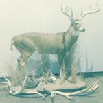 Sir Reginald McFuzzybottom, head of HR at Athlon Optics